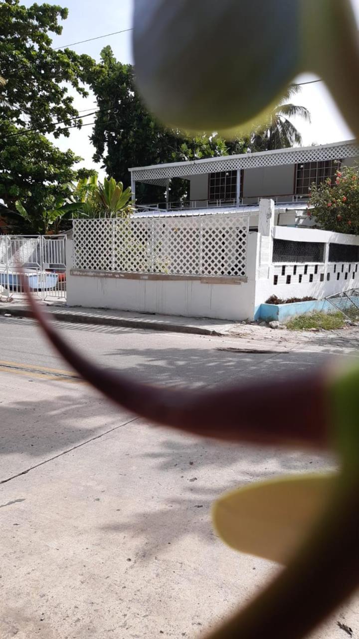 Joebi'S House Walking Distance To Rocky Cay Beach Ideal For Families Or Groups Buenavista  Bagian luar foto